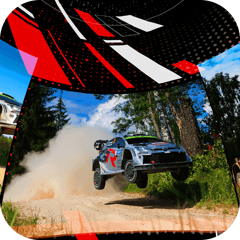 モータースポーツ