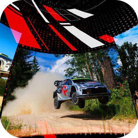 モータースポーツ